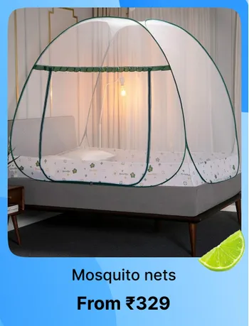 Summer steal deals